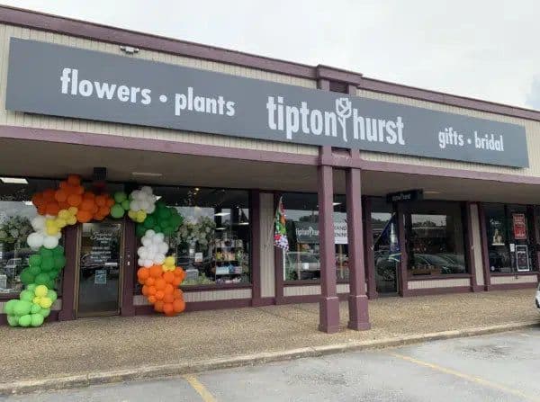Tipton & Hurst Shepherd