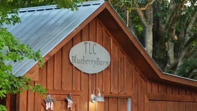 TLC Blueberry Farm
