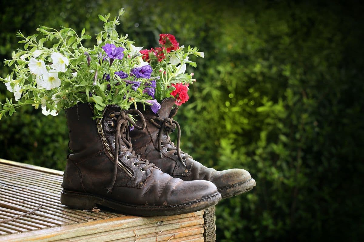 TLC Nursery LLC