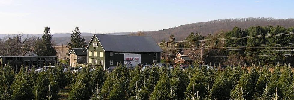 TLC Tree Farm