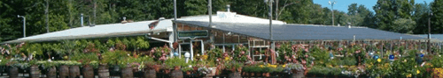 Tony's Farm & Garden Center