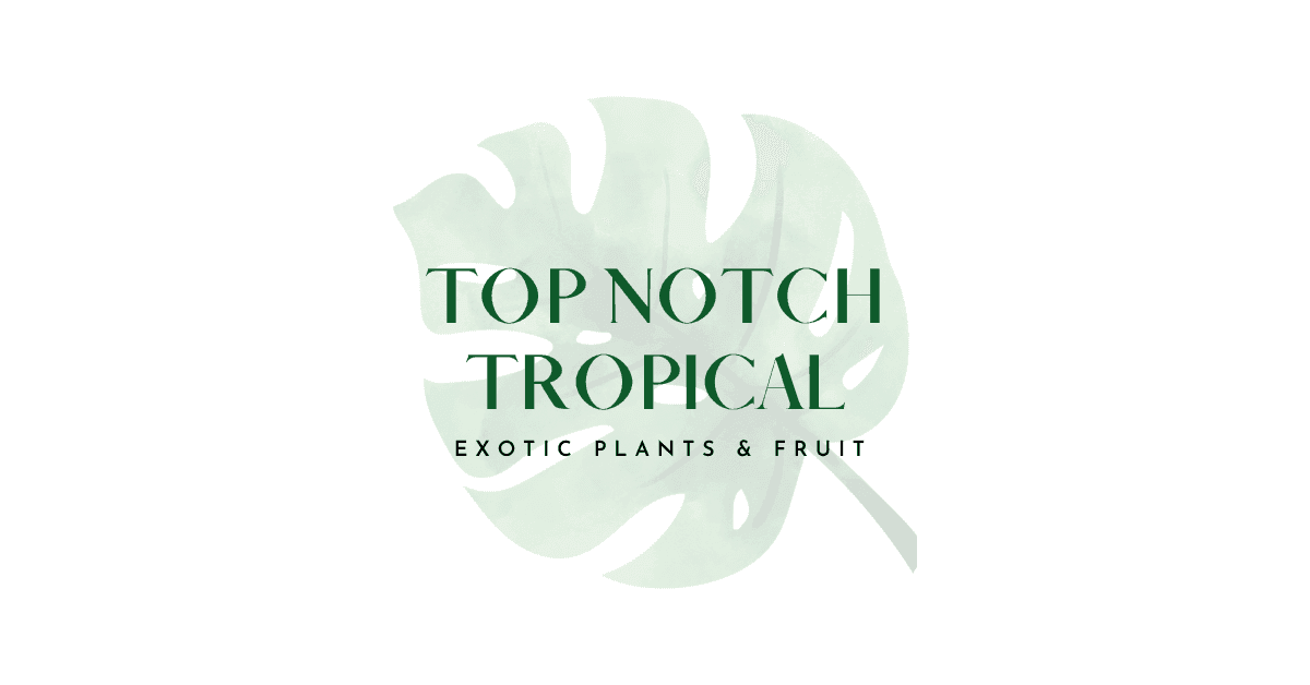 Top Notch Tropical