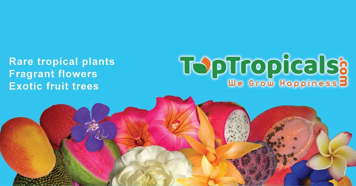 Top Tropicals Plant Farm & Nursery