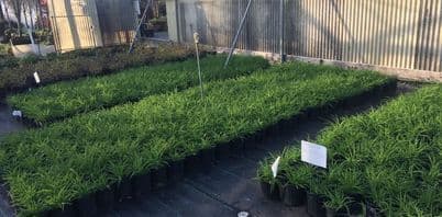 TotalScape Farms