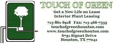 Touch of Green
