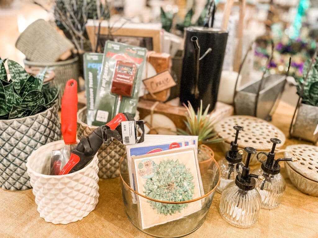 TPG - The Plant Gallery