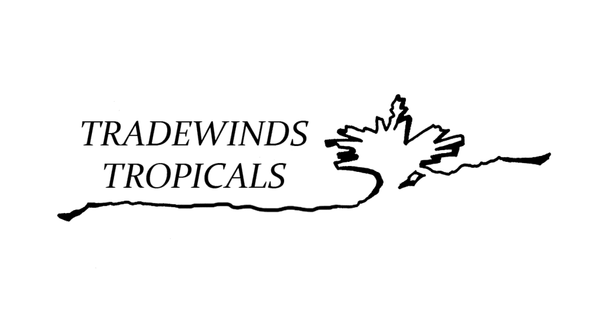 Tradewinds Tropicals Inc.