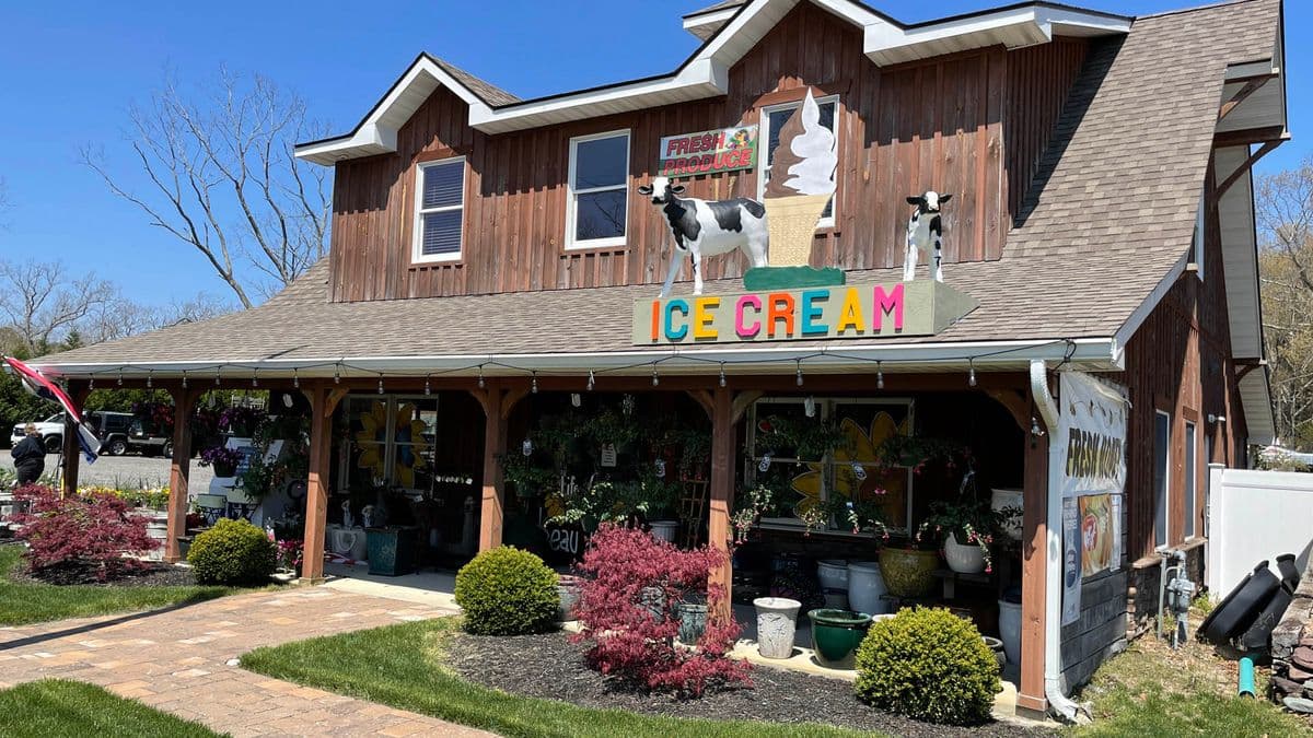 Trailside Gardens / Ice Cream