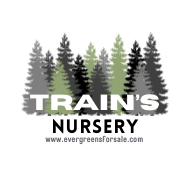 Train's Nursery