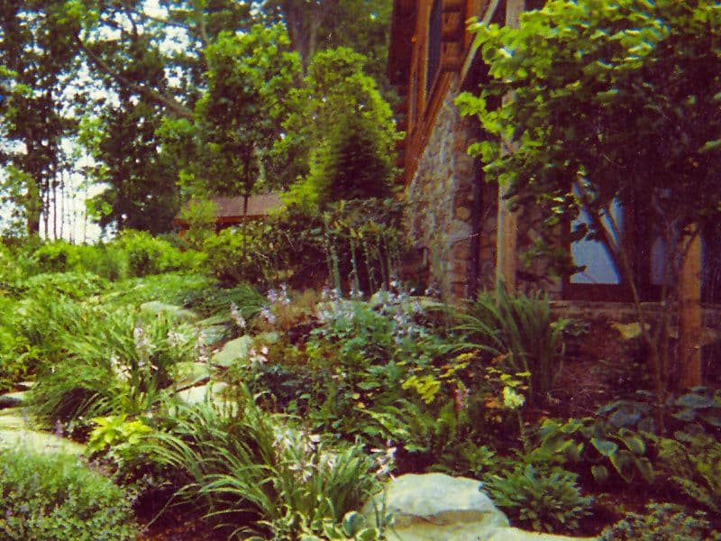 Treasure Potts Garden Center
