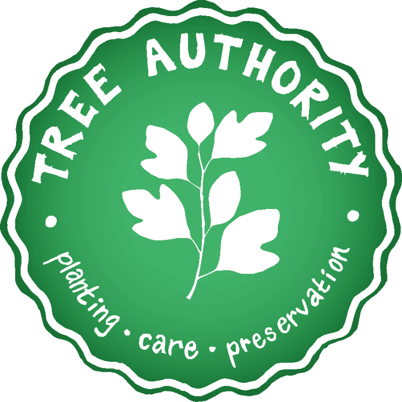 Tree Authority LLC