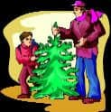 Tree Farms