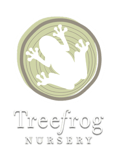 Tree Frog Nursery