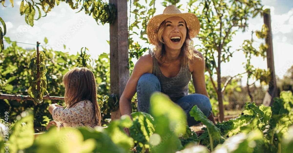 Tree House Farm & Nursery