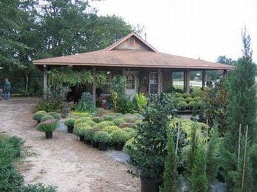 Tree House Nursery