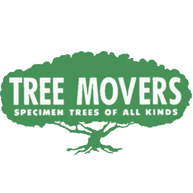 Tree Movers