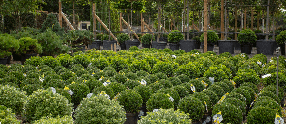 Treemendous LLC