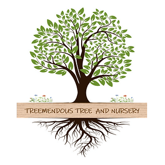 Treemendous Tree North Port