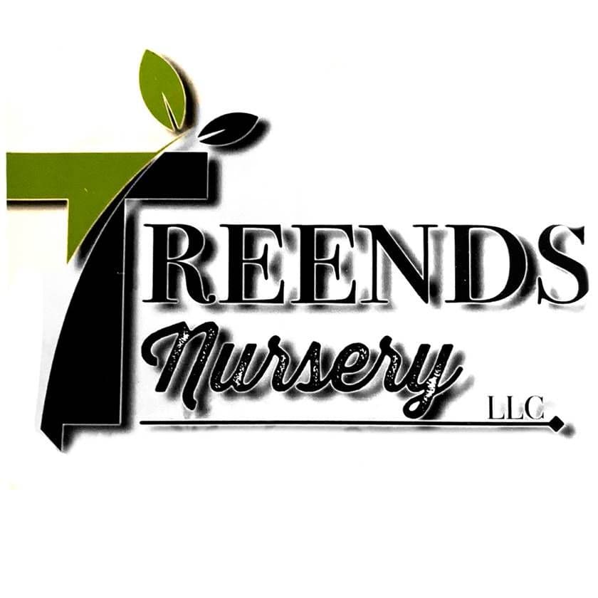 Treends Nursery