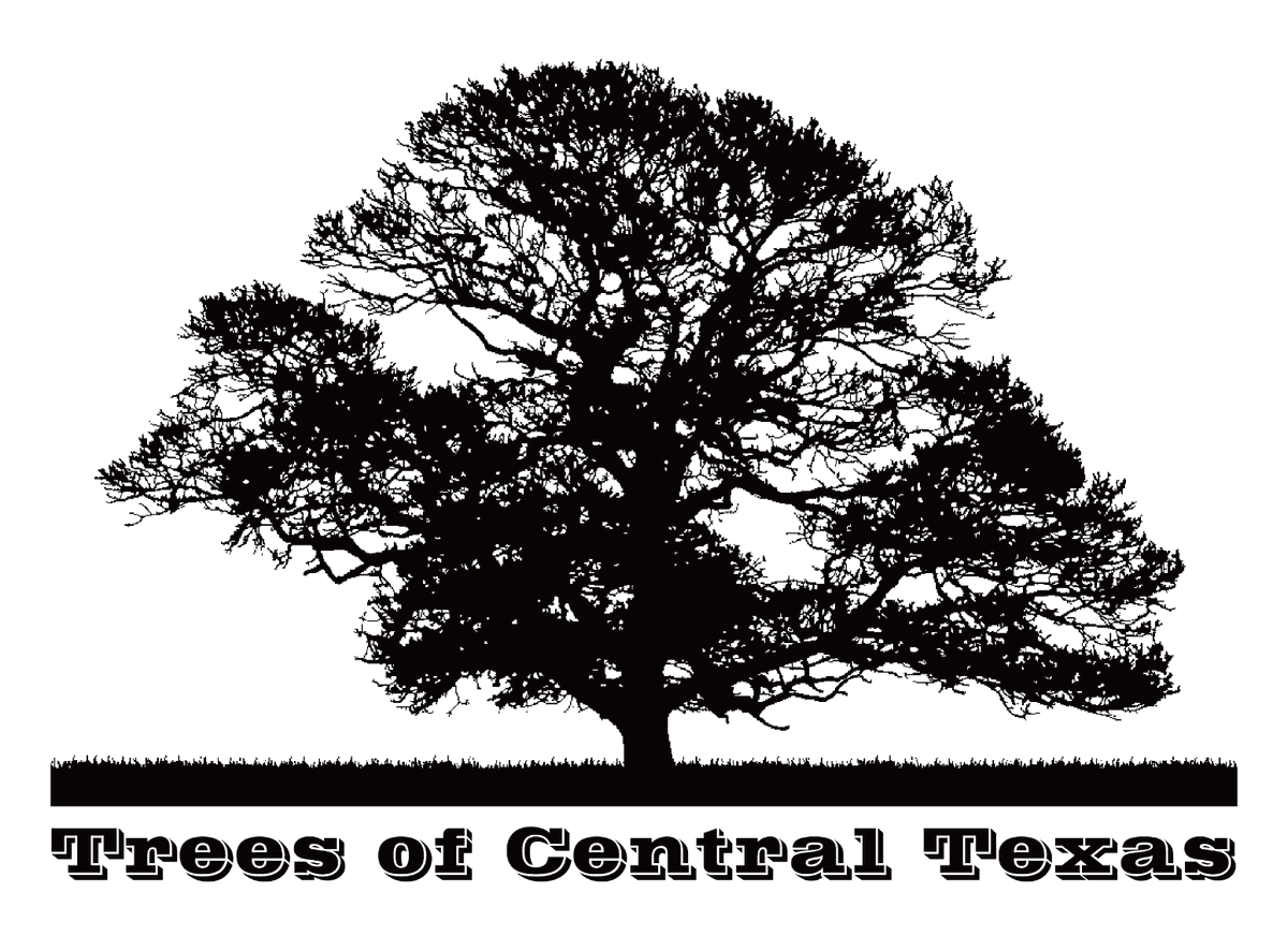 Trees of Central Texas, LLC