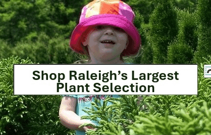Trees2Go.com