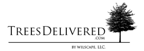 Treesdelivered.com by Wilscape