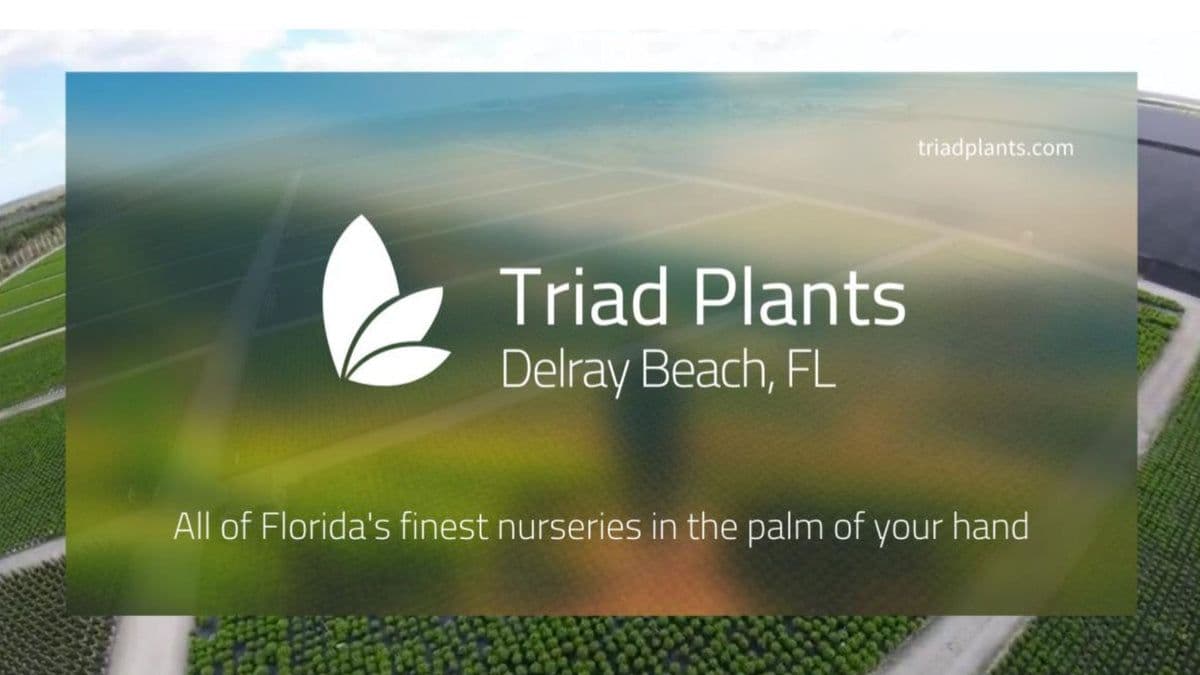 Triad Plants