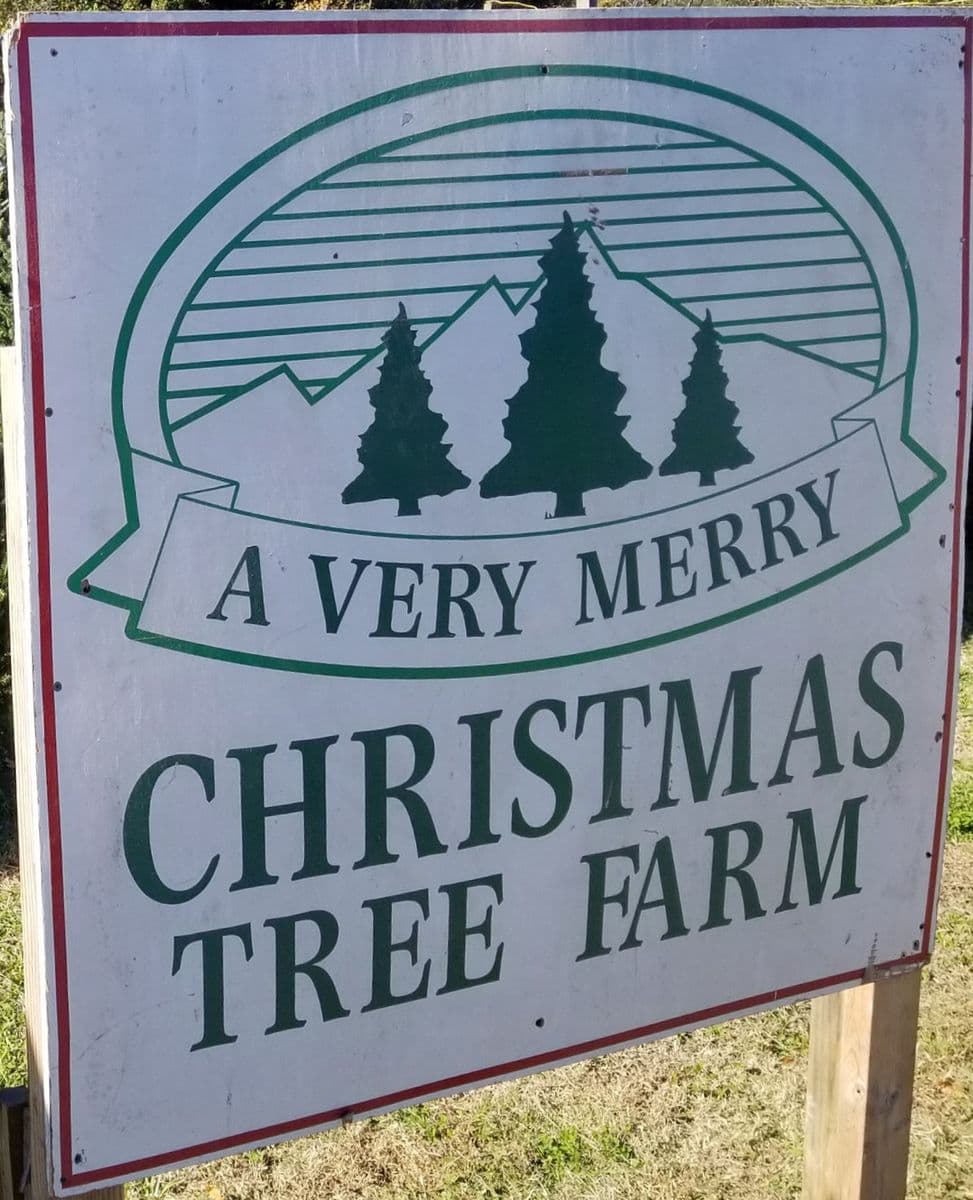Trinity Tree Company - Avery Farms
