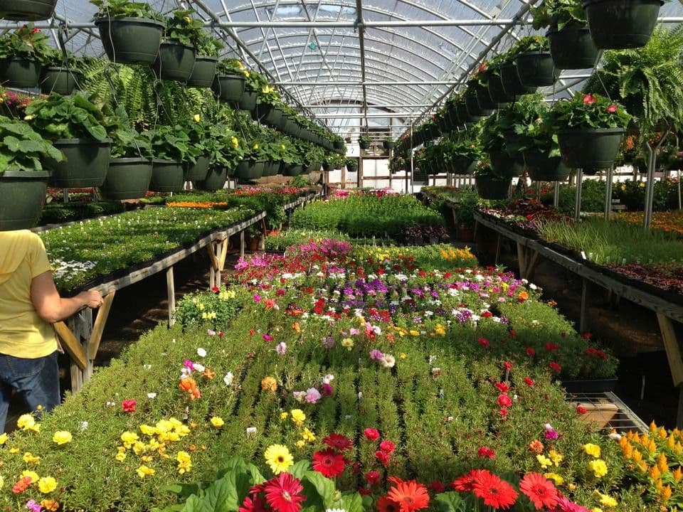 Triple B Nursery