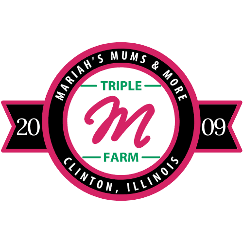 Triple M Farm: Mariah's Mums & More, LLC