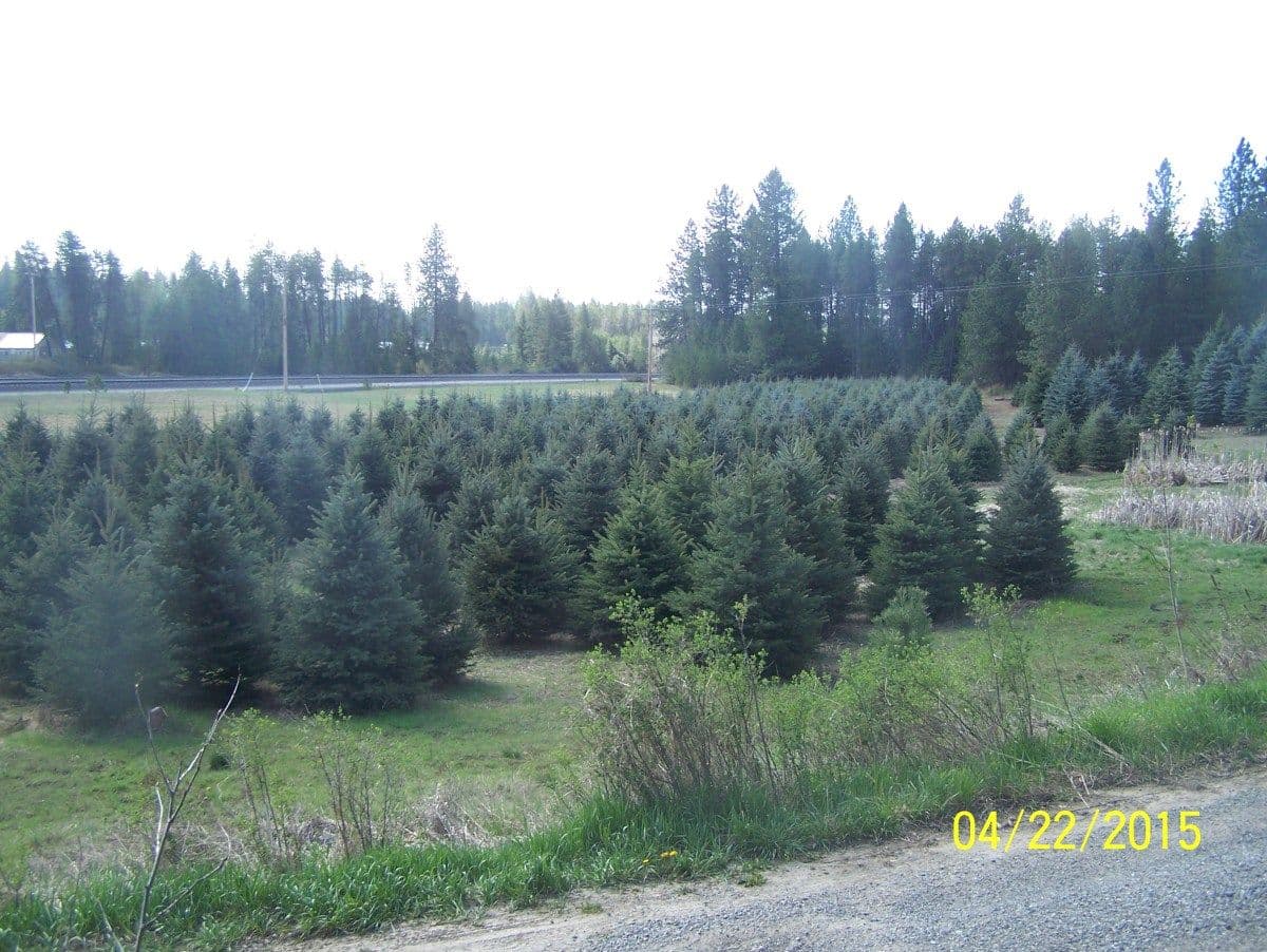 Triple T Nursery