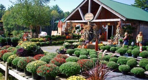 Tromblee's Greenhouse