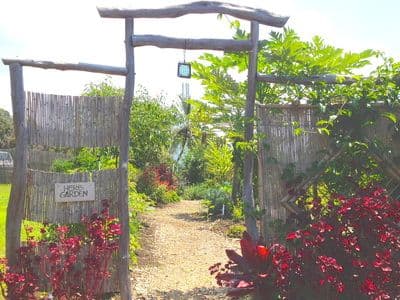Tropical Edibles Nursery