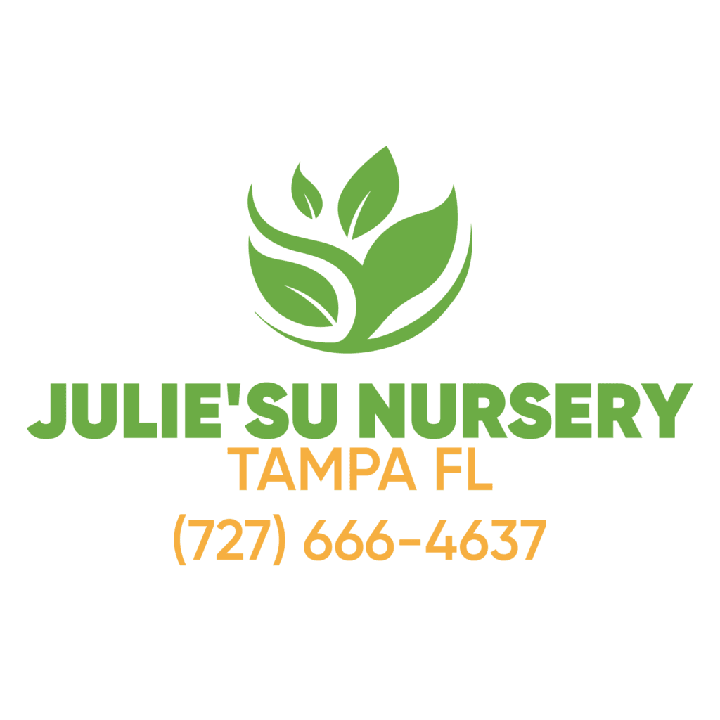 TROPICAL LIVE PLANTS NURSERY