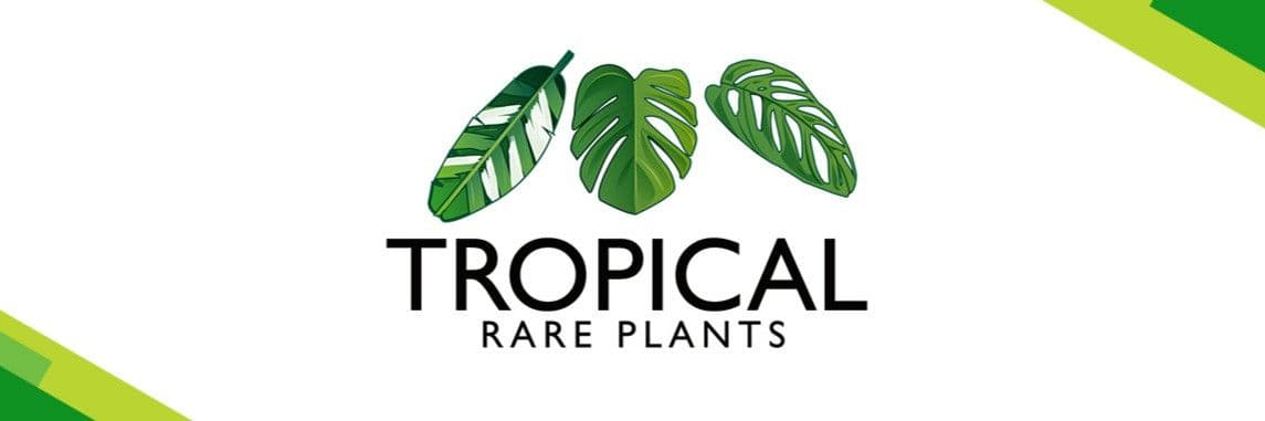 Tropical Rare Plants