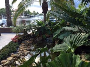 TROPICAL TOUCH garden center