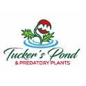 Tucker's Pond & Predatory Plants