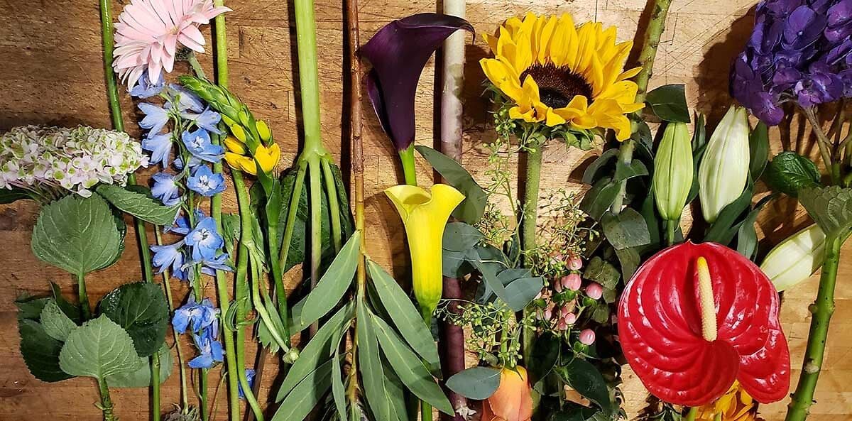 Tulipia Floral Design