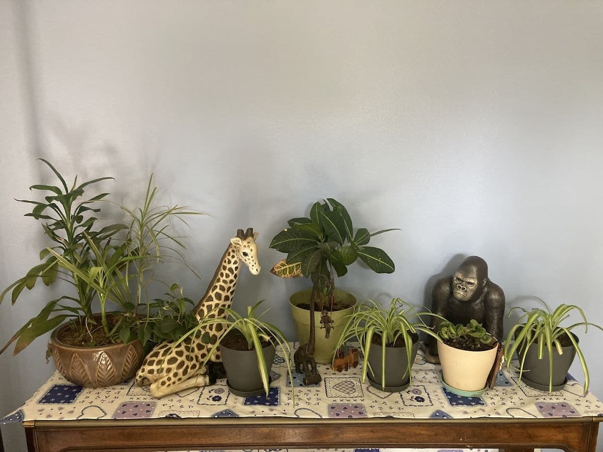 Twilight Gardens