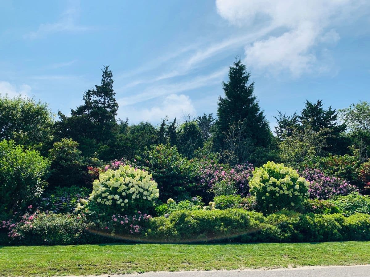 Twin Forks Nursery