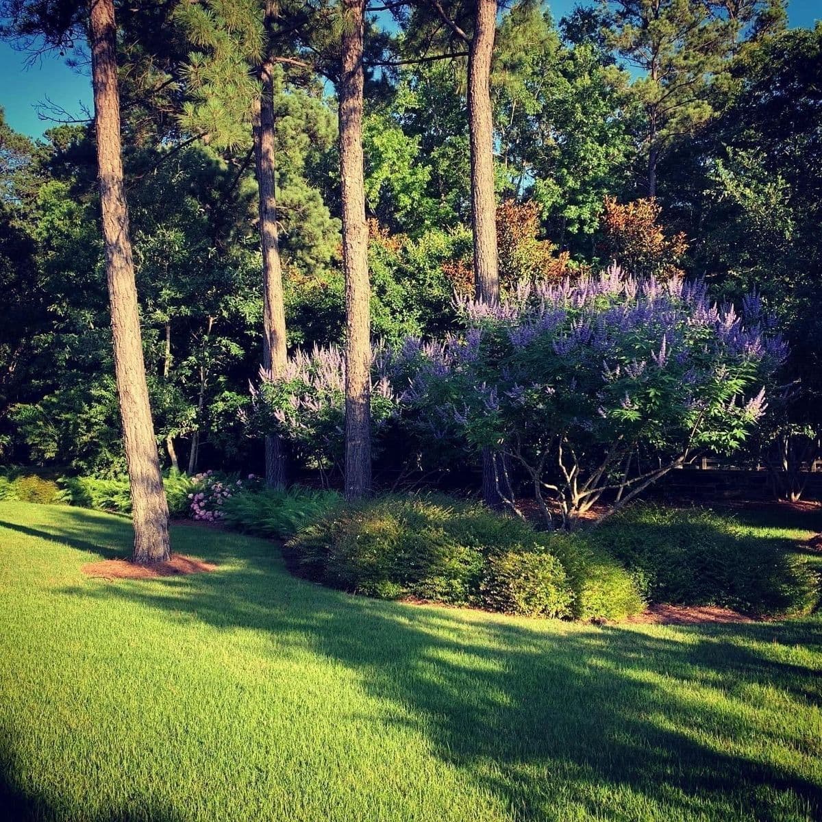 Twin Oaks Nursery Inc