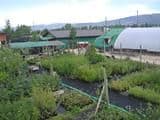 Twin Peaks Nursery