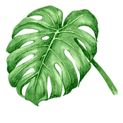 Twisted Trunk - Home & Garden Boutique