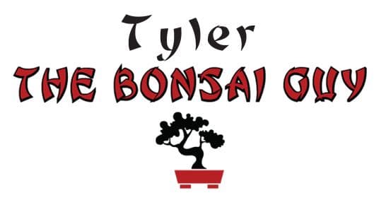 Tyler The Bonsai Guy