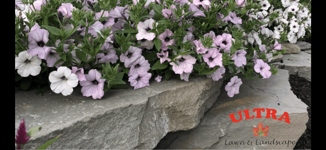 Ultra Lawn & Landscape