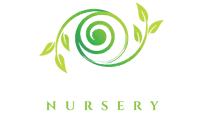 UNCLE JUTTY'S NURSERY