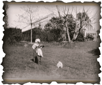Underwood Greenhouses