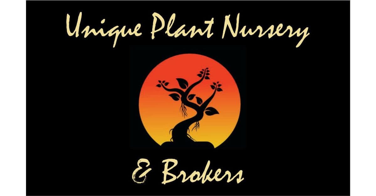 Unique Plant Nursery and Brokers Inc.