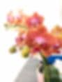 United Orchids Plus Corp.