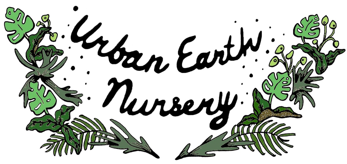 Urban Earth Nursery & Garden Service